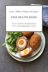 Pin On Free Paleo Recipe Ebook Uk