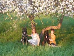 Visit our puppies page for pictures of the new babies!! Vom Dul Haus German Shepherds Breeder Of Working Line German Shepherd Dogs In Northern Wisconsin