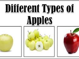 1 teaspoon ground cinnamon juice of 1 lemon 4 large, tart apples, such as ginger gold, granny smith, cortland, or winesap preheat the oven to 375 degrees (on convection). 13 Different Types Of Apples With Images Asian Recipe