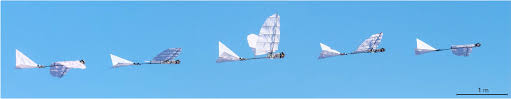 Feb 01, 2015 · robot ornithopter batbot admin juni 04, 2021 robot ornithopter batbot. Pdf Design Of The High Payload Flapping Wing Robot E Flap Semantic Scholar