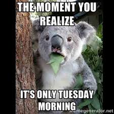 Funny tuesday memes and sayings. 61 Best Tuesday Meme Meme Central