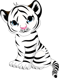 The tiger's coat is often a bright golden color. Baby Snow Leopard Drawing For Kids Baby Tiger Coloring Pages 800x800 Png Clipart Download