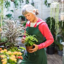 We did not find results for: 12 Best Plant Delivery Services Online Plant Delivery Companies Changing The Industry