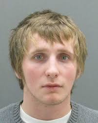 Muskegon teens face felony charges for string of Grand Haven-area vehicle  larcenies