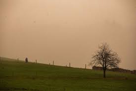 Gelbe blätter vor blauem himmel hintergrund. 1gyzeqk Yjqvgm