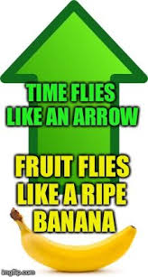 Time Flies Like An Arrow Fruit Flies Like A Banana Meme Punny Analogy Fruit Flies Humor Memes
