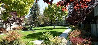 We did not find results for: Take Your Pick Cherrywood Apartments