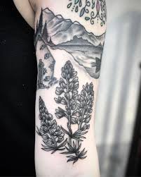 A series of nz native bird watercolour paintings by jeremy kyle artist. New Zealand Native Lupin Flowers By Patcrump Tattoogrid Net