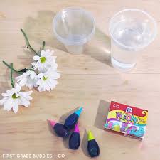 She started complaining that the color didn't change. Simple Science Color Changing Flowers First Grade Buddies