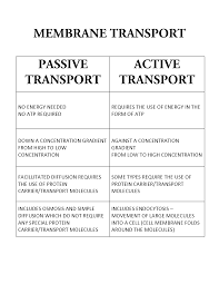 Passive Transport Versus Active Transport Biology Lessons