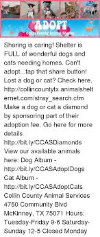 Animal shelter · nonprofit organization · public & government service. Collin County Animal Services Petfinder