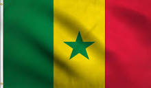 Amazon.com : DMSE Senegal Senegalese Republic Of Senegal Flag 3X5 ...