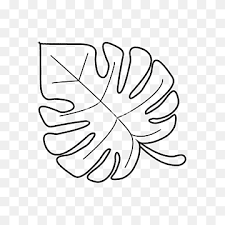 Maybe you would like to learn more about one of these? Leaf Swiss Cheese Plant Line Monstera Angle White Text Png Pngwing