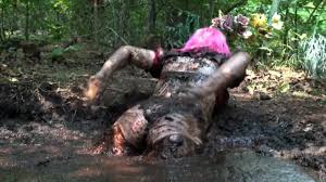 Mudbunny - Porn Videos & Photos - EroMe