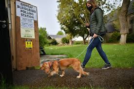 Polling station on wn network delivers the latest videos and editable pages for news & events, including entertainment, music, sports, science and more, sign up and share your playlists. Jqzff6blnqby3m