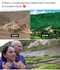 Is it a month, a year or perhaps longer? Request How Realistic Is This Do Trees Grow That Big That Fast How Many Trees Did They Have To Plant Per Day Theydidthemath