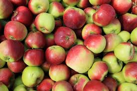 Maybe you would like to learn more about one of these? Day Trip Something Special S Growing At Southwind Orchard News Winonadailynews Com