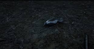 A gta iv style simple native trainer for rdr2. Where To Find Skunks In Red Dead Redemption 2 Dbltap