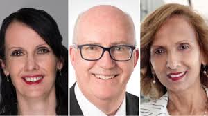 Ku-ring-gai Council under pressure after rejecting new women's advisory  committee