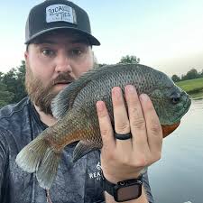 ᐅ East Wards Lake fishing reports🎣• Carrollton, GA (United States) fishing