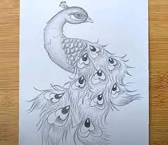 Pin On Draw For Kids