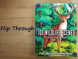 Elk are large animals in the deer family. 100 Wildlife Scenes Coloring Book Flip Through Coloring Book Cafe Youtube
