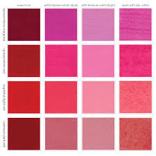 Mixing Pink In 2019 Color Mixing Chart Acrylic Color