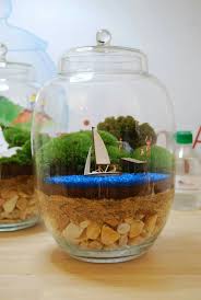 Vacation Time Plantas Para Terrario Arreglos Con Suculentas Terrarios