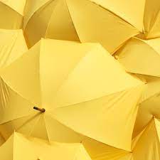 Download 750 Yellow Pictures Download Free Images Stock Photos On Unsplash