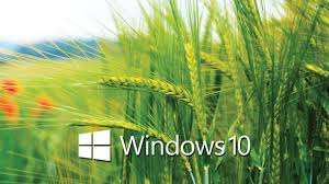 Check spelling or type a new query. Laptop Hd Wallpapers For Windows 10 Airwallpaper Com
