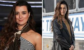 Cote De Pablo Salary How Much Was The Ncis Star Paid Per Episode Celebrity News Showbiz Tv Express Co Uk