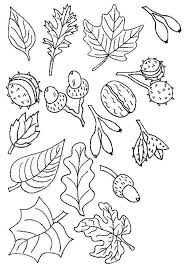 Kleurplaat Noten Fall Crafts For Kids Coloring Pages Autumn Crafts