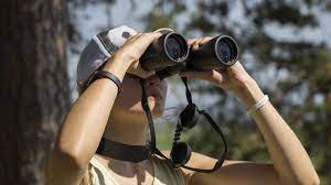 I have seriously looked at the vanguard endeavorll10x42 and the reviews are good. A Guide To Birding With Binoculars B H Explora