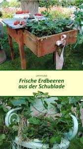 Diy Upcycling Im Garten Pflanzen Garten Mdr Garten