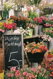 May 01, 2020 · specialties: Pin On Natur