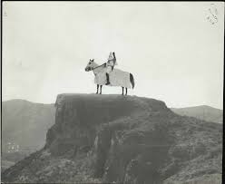 We did not find results for: Topics Colorado Historic Newspapers Collection