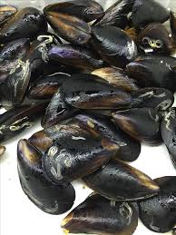 Midye Dolma Sehmususta