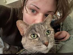 Looking for a Sublease: Winter Semester