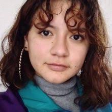 Mi experiencia de intercambio: aprovechar la oportunidad virtual