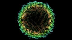 A cell is a very tiny structure which exists in living bodies. Cryo Electron Microscopy Breaks The Atomic Resolution Barrier At Last Science Aaas