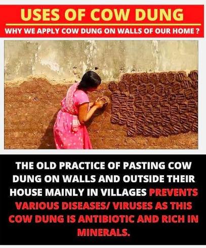 Old picture of Madras women carrying cow dung.