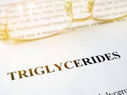 Image result for Triglycerides