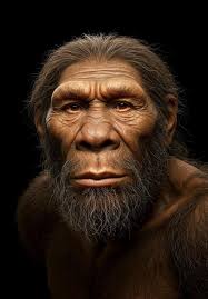 This is exactly how a Neanderthal looked. This species inhabited Europe and  Asia between 400,000 and 40,000 years ago. Characterized by their robust  build, prominent foreheads, and notable brow ridges, these hunter-gatherers