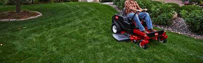 Lawn care companies offer a range of services in addition to mowing, including weed and pest control, yard clean up and tree trimming that boost your home's curb appeal. Lawn Equipment And Mower Repair In Fort Bend County Tx