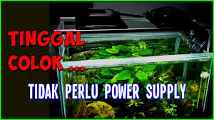 We did not find results for: Diy Led Aquarium Pakai Lampu Tembak Rp 50 Ribu 20 Watt Youtube