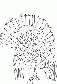 See also aour collection of turkey coloring sheets below. Wild Turkey Coloring Page Coloring Home
