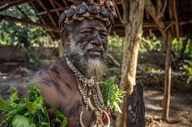 See tripadvisor's 77,418 traveler reviews and photos of vanuatu tourist attractions. Ganztagige Vanuatu Inselrundfahrt Ab Port Vila 2021 Tiefpreisgarantie