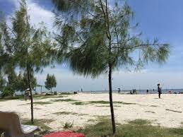 Taman alam kuala selangor) is a park located by the mouth of selangor river in kuala selangor district, selangor, malaysia. Pantai Redang Sekinchan 2021 All You Need To Know Before You Go With Photos Tripadvisor