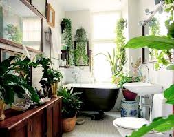 Plot Twist These 15 Low Light Plants Actually Crave Dark Corners Best Bathroom Plants Amazing Bathrooms Green Bathroom