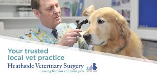 The average vet visit cost ranges from $45 to $55 while other vet visits like dental cleaning can cost as much as $400, according to pet care rx. Emergency Vet Care Heathside Vets 01489 607001